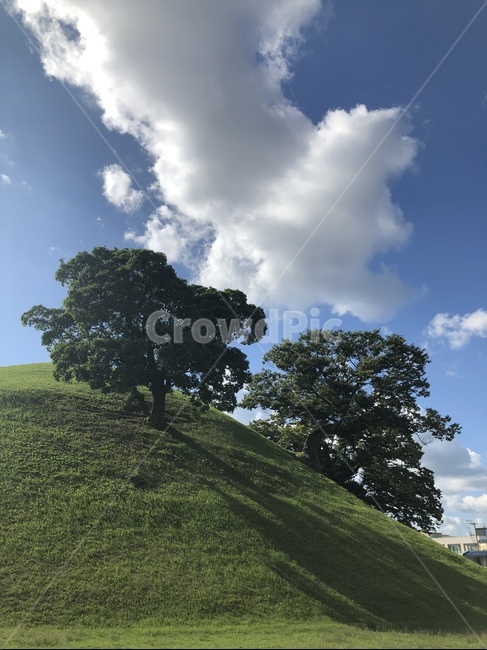 잔디,언덕,나무,하늘,초록색,자연,풍경,자연,풍경,nature,landscape,field,들,grassland,목초지,outdoors,옥외,mound,투수판