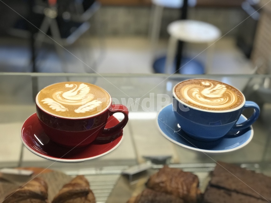 커피,라떼아트,커피아트,백조,카페라떼,coffee,latteart,coffeeart,swan,cafelatte,음료수,drink,beverage,커피,카페,coffee,cafe