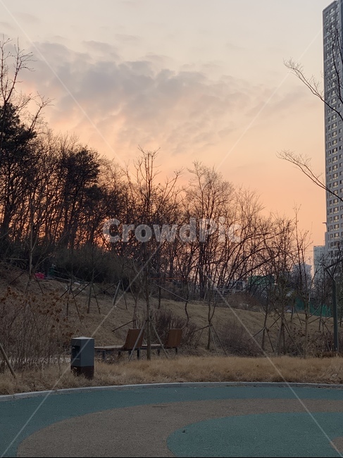 풍경,놀이터,노을,감성,나무,저녁