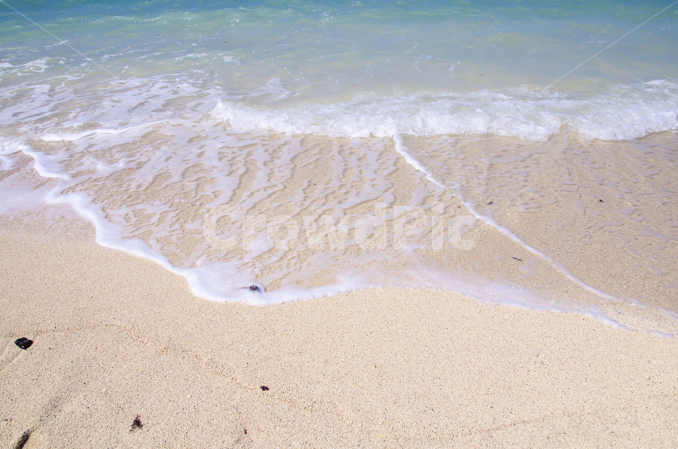 제주,제주도,비치,모래,손바닥,해변,바다,여름,우도,섬,해변,바다,beach,sea