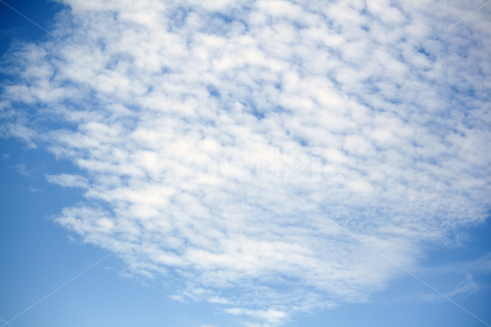 하늘,파란하늘,푸른하늘,가을하늘,여름하늘,양떼구름,skybackground,흰구름,뭉게구름,자연,옥외,파랑색,sky,bluesky,nature,outdoor,하늘배경,background