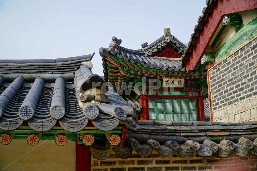 창덕궁,한국,korea,대한민국,서울,seoul,고궁,궁전,궁궐,조선,조선시대,조선왕조,왕궁,한옥,한국적인,한국문화,문화,한국전통,전통,문화재,전통문화,지붕,처마,담청,풍경,landscape,자연,nature,봄,봄꽃,spring,4월,april,기와,왕실,palace,changdeokgung,한국자연,한국풍경,역사,히스토리,history,한국전통,한국문화,korean traditional,korean culture,건축물,건물외관,exterior,building,structure,architecture,construction