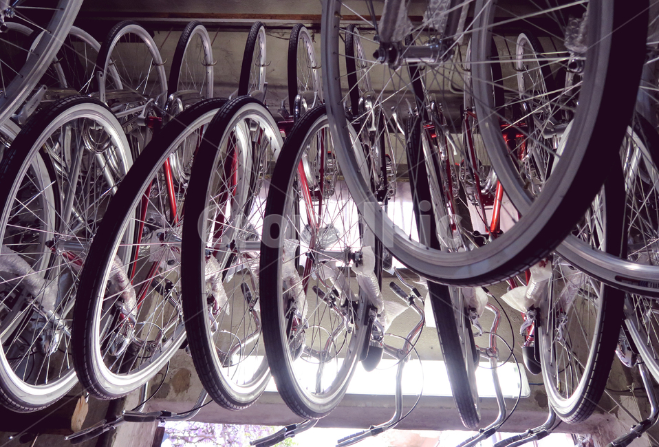 바퀴,transportation,교통,wheel,자전거,고무,타이어