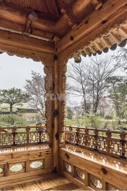정자,봄,누각,풍경,연못,휴식,봄,계절,spring,season,한국전통,한국문화,korean traditional,korean culture,handrail,난간,banister,railing,porch,현관,wood,나무
