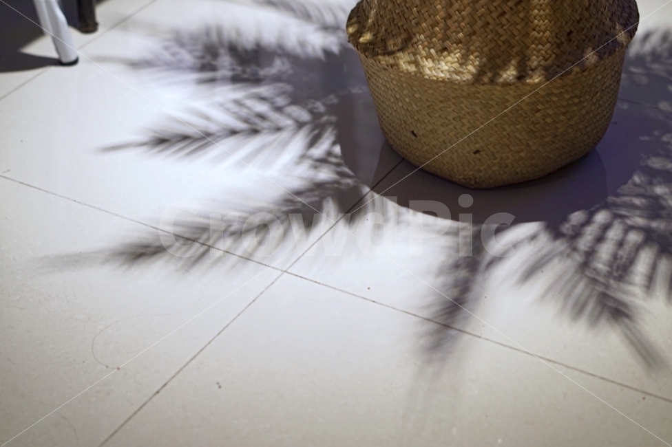 카페,실내,분위기,그림자,식물,cafe,인테리어,shadow,interior,mood,plant,하얀,흰,white,바닥,floor,인테리어,실내디자인,interior design