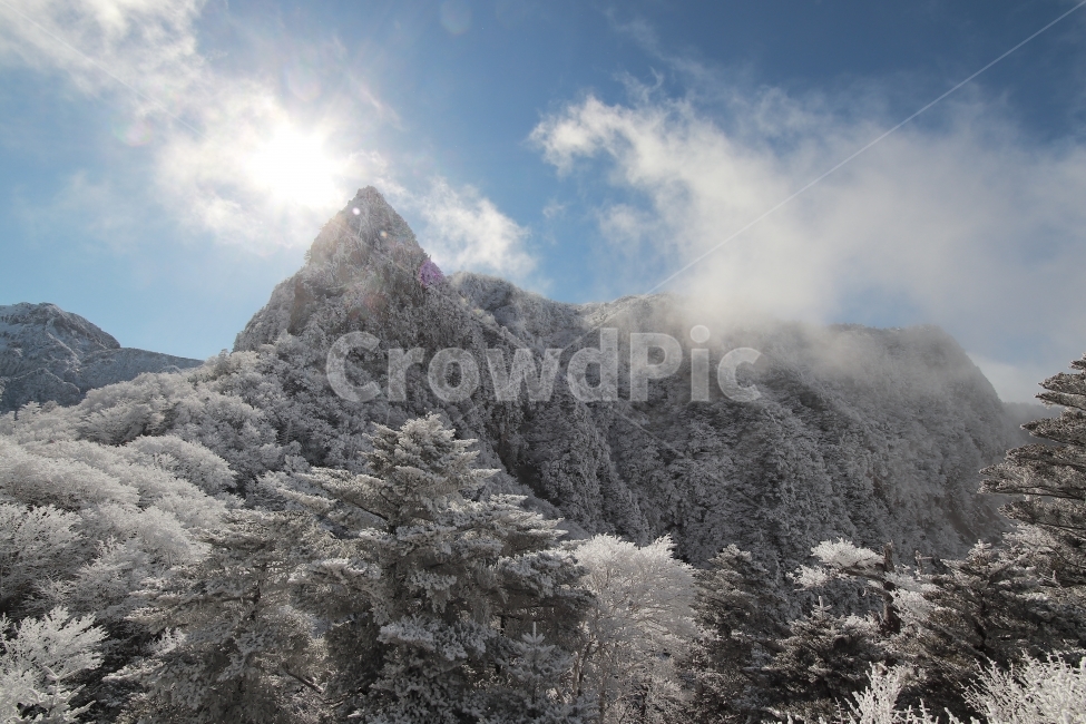 한라산,상고대,설산,겨울,겨울산행,눈꽃,진달래대피소,성판악,관음사,제주도,제주,백록담,겨울,계절,winter,season,자연,풍경,nature,landscape,한국자연풍경,한국자연경관,korea nature landscape,제주도,jeju,jeju island,plant,식물,tree,나무,fir,전나무,abies,아비
