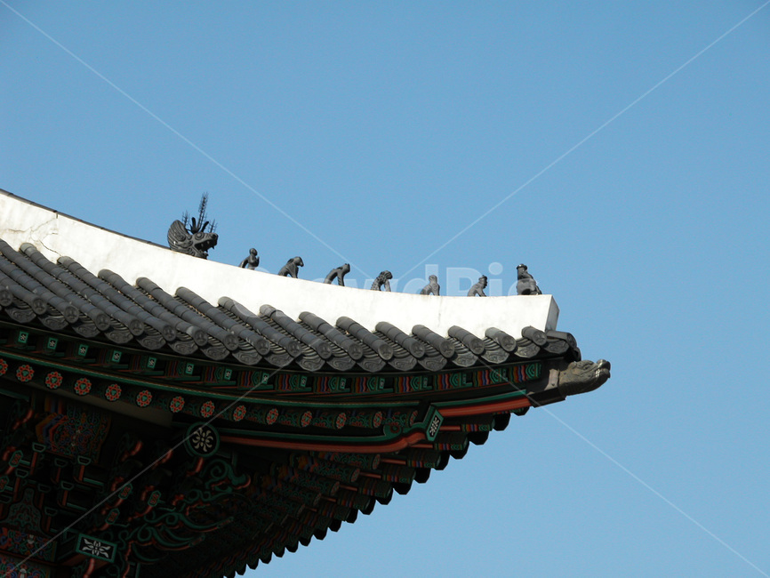 건물,단청,고궁,전통,한국,옛건물,한국전통,한국문화,korean traditional,korean culture,건축물,건물외관,exterior,building,structure,architecture,construction