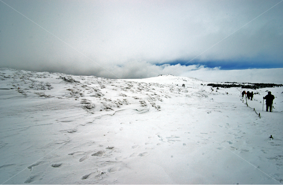 한라산,제주도,영실코스,설경,설화,겨울,등산객,겨울,계절,winter,season