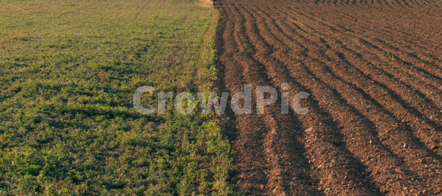 흙,자연,배경화면,감성사진,가을,시골,마을,풍경,landscape,country,rural,town