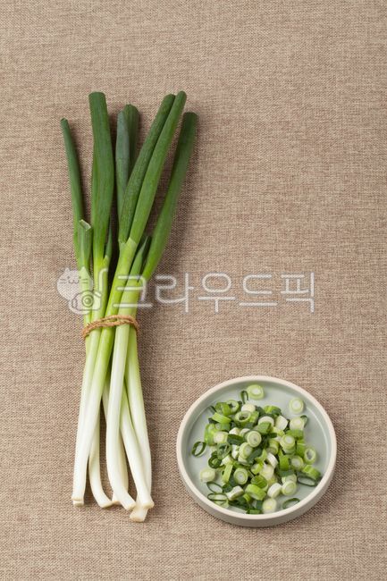 대파, 음식, 파, 채소, 재료, 사진,이미지,일러스트,캘리그라피 - 박프로 진Studio작가