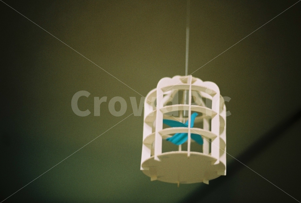 종이새,파랑새,모빌,새장,필름,감성,bird,blue,film,animal,cage,paper,bluebird,emotion,감성,sensible,feeling,사물,물건,오브젝트,thing,object,matter