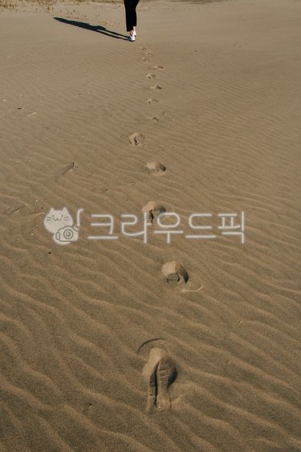 배경,자연,모래사장,뒷모습,발걸음,발자국,흔적,모래물결,그림자,모래밭,바닷가,다대포,sea