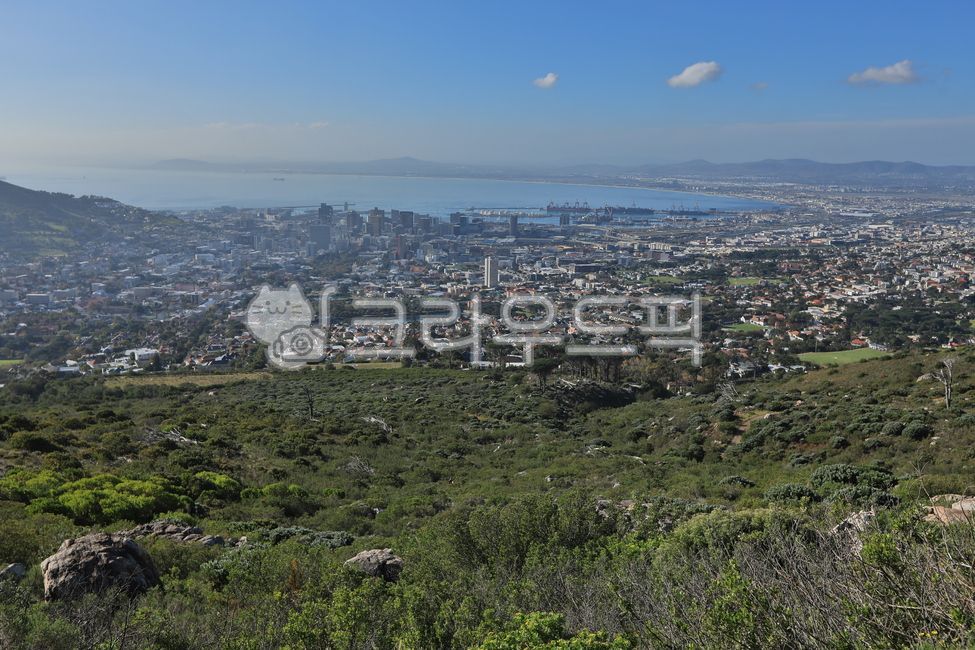 capetown,mountain,southafrica,nature,table mountain,south africa,cape town