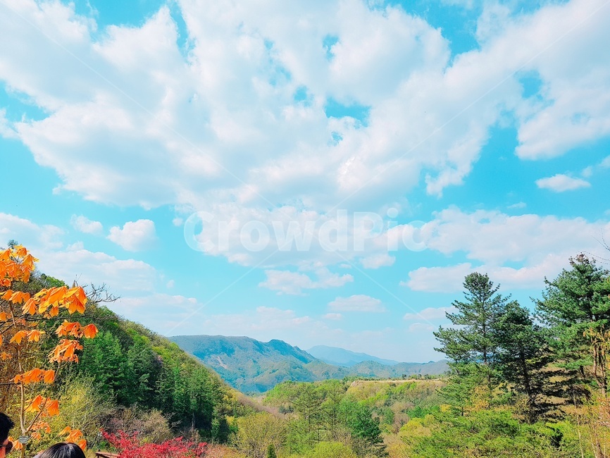 하늘,자연,봄,나무,여름,자연,풍경,nature,landscape,outdoors,옥외