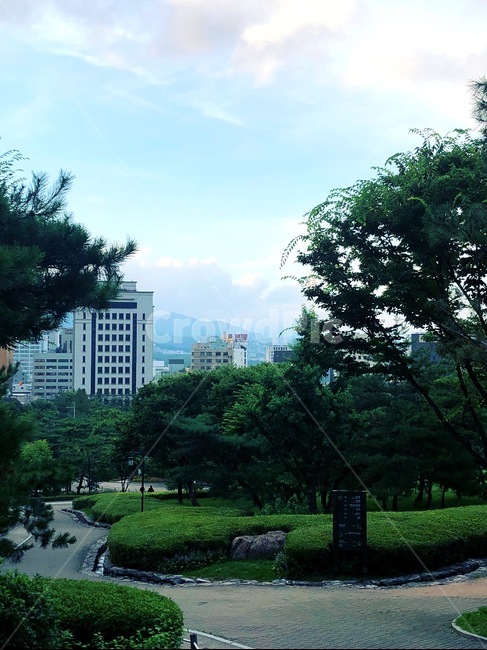 하늘,구름,풍경,건물배경,나무
