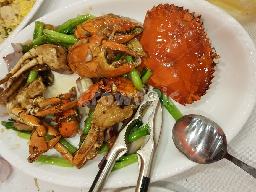 홍콩,홍콩음식,머드크랩,갈릭머드크랩,완차이,음식,식재료,요리,food,cook,meal,dishes,food reserves,중식,중국음식,중화요리,chinese food,chinese dishes,chinese meal,chinese cook