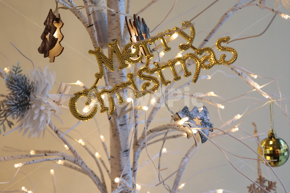 크리스마스트리,크리스마스,christmas,트리,불빛,메리크리스마스,성탄절,merry christmas