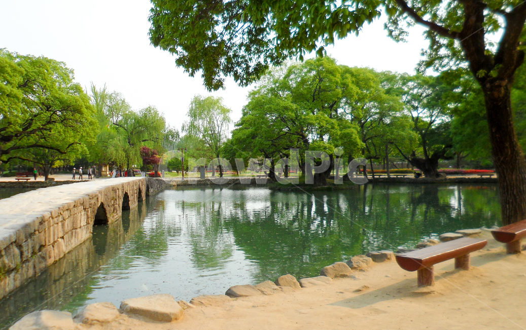 bench,벤치,water,물,outdoors,옥외,남원,광한루,연못