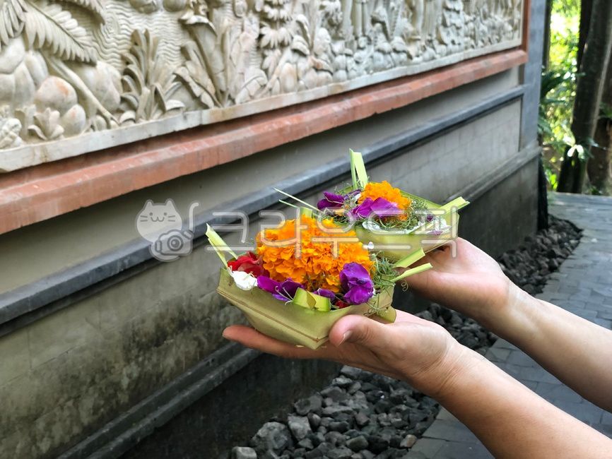 꽃,꽃부케,flowerbouquet,꽃꽂이,발리,차낭사리,공양물