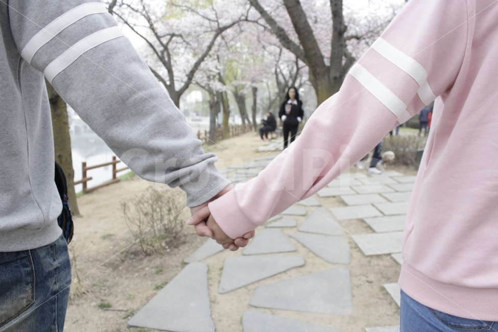 커플,사람,손잡기,두손,산책,봄,사랑스러움,달콤,벚꽃,공원,감성,love,park,봄,계절,spring,season,사람,인물,인간,human,person,신체일부,몸,body,손,제스처,표시,손짓,표현,gesture,hand,sign,expression,연인,커플,사랑,lover,couple,감정표현,기분,feeling,emotion