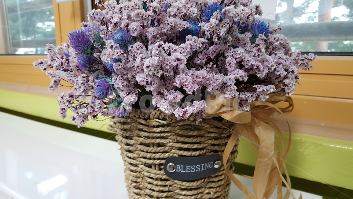 부케,꽃다발,꽃,장식,염색꽃,축하선물