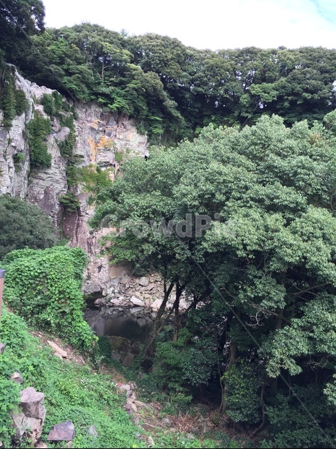 제주도,폭포,절벽,나무,산,자연,풍경,nature,landscape,outdoors,옥외