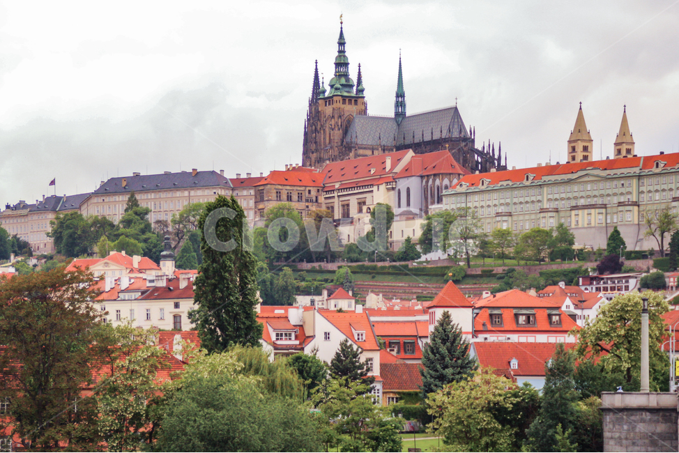 체코,프라하,성비투스대성당,프라하성,성당,대성당,비투스,웅장한,랜드마크,빌딩,건축,건축물,종교,유산,문화,문화유산,유명,명소,관광명소,올드타운,구시가지,붉은,지붕,유럽,여행지,풍경,경치,도시,중세도시,중세건축,관광지,고딕,고딕양식,성비토대성당,흐린,구름,우중충한,우울한,동유럽,붉은지붕,랜드마크,landmark,tourist attraction,해외,외국,세계,foreign,oversea,world,세계랜드마크,해외랜드마크,외국랜드마크,world landmark,world tourist attraction,건축물,건물외관,exterior,building,structure,architecture,construction,tower,탑,spire,첨탑,steeple,뾰족한 탑,건물,fir,전나무,plant,식물,tree,나무
