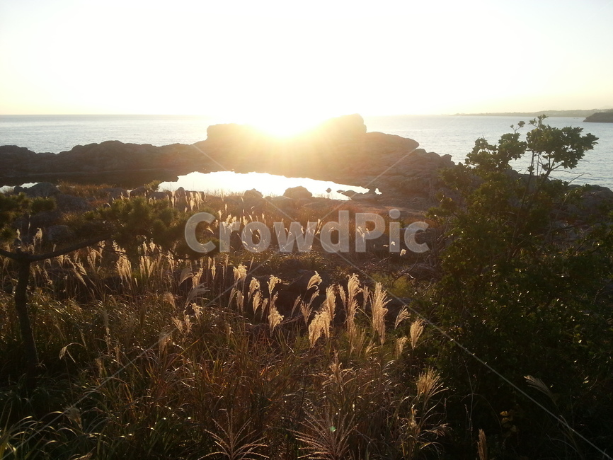 자연,햇빛,노을,sunset,nature,sunlight,빛,light