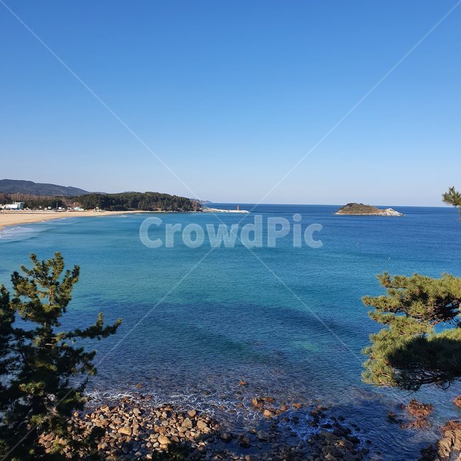 바다,sea,자연,nature,하늘,파란,풍경,섬,나무