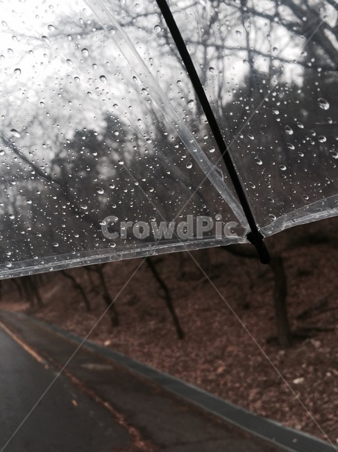 비,우산,빗방울,rain,raindrop,waterdrop,물방울,umbrella,비,비오는날,rain,rainy