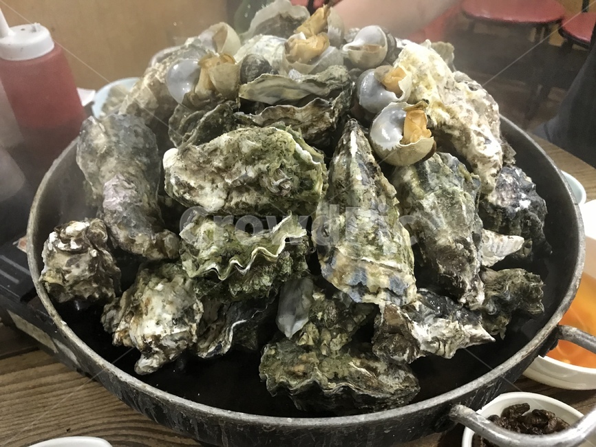 굴,석화,음식,food,식당