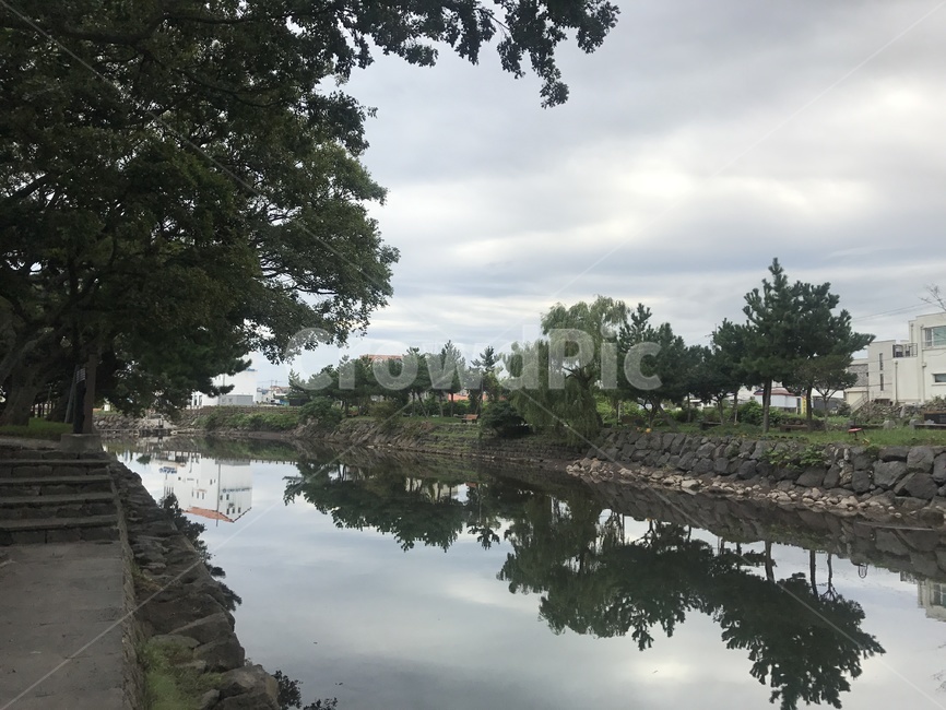 제주,외도동,산책,하천,월내천,자연,나무,제주도,jeju,jeju island,water,물,outdoors,옥외,nature