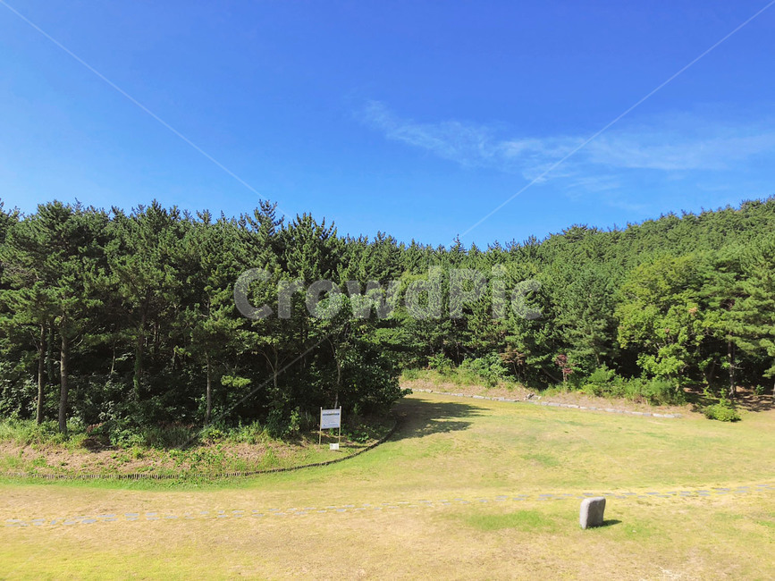 풍경,숲,나무,들판,하늘,자연,푸르름,평온,맑음,nature,정화,자연,풍경,nature,landscape,outdoors,옥외,field,들