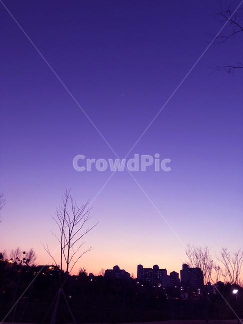 하늘,sky,실루엣,silhouette,outdoors,옥외,자연,nature,색감,색상,감성,emotion,sensible,color