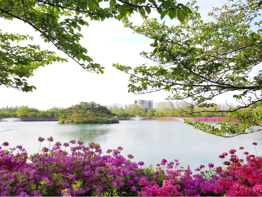 봄,꽃,자연,호수,풍경,맑음,하늘,나무,푸름,공원,숲,봄,계절,spring,season,자연,풍경,nature,landscape,outdoors,옥외,water,물