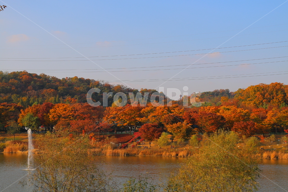 가을,단풍,단풍나무,공원,호수,하늘,자연,분수,가을,계절,fall,autumn,season,자연,풍경,nature,landscape,plant,식물,tree,나무