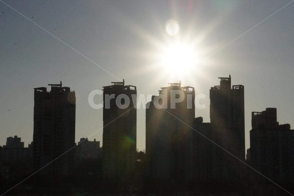 플레어,flare,역광,빛,자연,햇빛,light,nature,sunlight,아파트