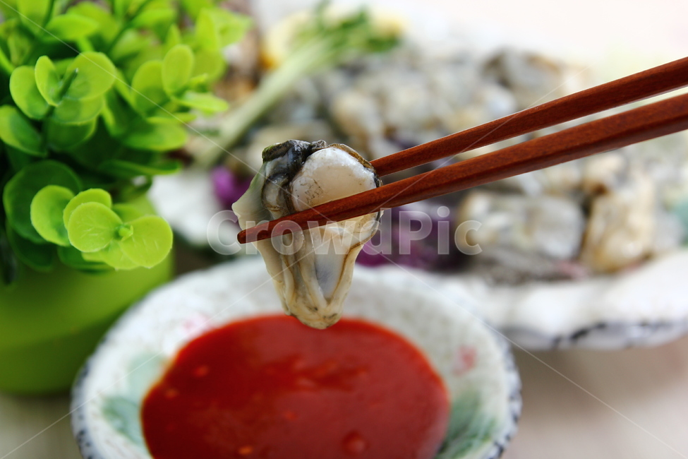 석화,굴,생굴,해산물,조개,신선,싱싱,음식,식품,dish,oysters,seafood,shellfish,fresh,crispy,food,음식,식재료,요리,food,cook,meal,dishes,food reserves,수산물,해산물,fishery products,seafood