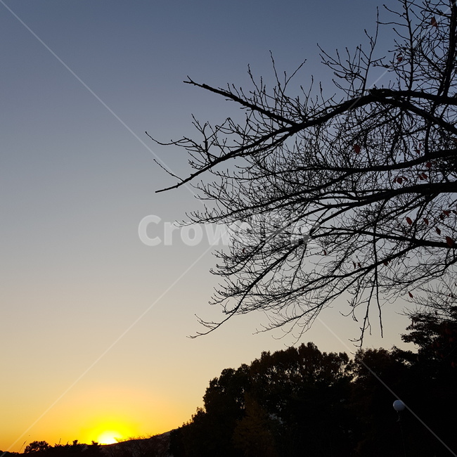 저녁하늘,일몰,나무,고요한,산,겨울하늘,분위기있는,감성,오후,sunset