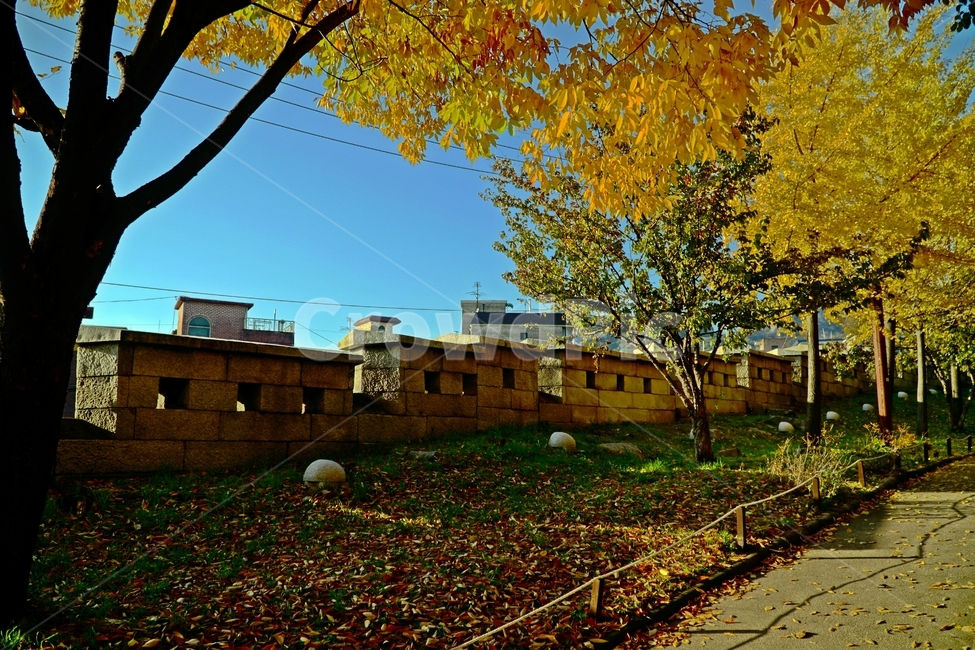 한양도성,한양도성길,순성,순성길,한양도성순성,가을,단풍,나무,성벽,자연,한국,한국적인,서울,코리아,seoul,korea,한국문화,한국전통,전통,문화,전통문화,문화재,유적,유적지,한국문화재,조선,조선왕조,풍경,landscape,autumn,fall,tree,castle,캐슬,하늘,sky,낙엽,한국자연,nature,경치,가을,계절,fall,autumn,season,자연,풍경,nature,landscape,한국자연풍경,한국자연경관,korea nature landscape,한국전통,한국문화,korean traditional,korean culture,plant,식물