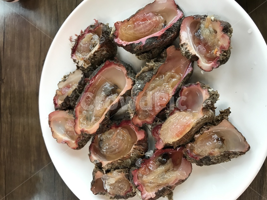 제주도돌멍게,돌멍게,돌멍게주,돌멍게회,멍게,제주멍게,음식,식재료,요리,food,cook,meal,dishes,food reserves,수산물,해산물,fishery products,seafood