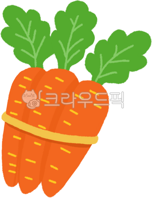 Cute carrots,carrots,carrot hand drawing,carrot illustration,carrot drawing,carrot vegetables,carrot dishes,carrot images,carrot vegetables,earth carrots,carrot illustrations,carrot ingredients,food carrots,root vegetable carrots,vegetables,