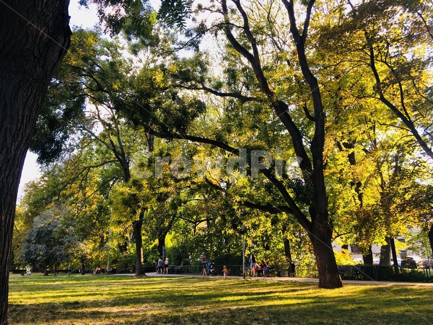 프라하,캄파섬,자연,공원,힐링,휴식,휴식,힐링,rest,relaxation,healing