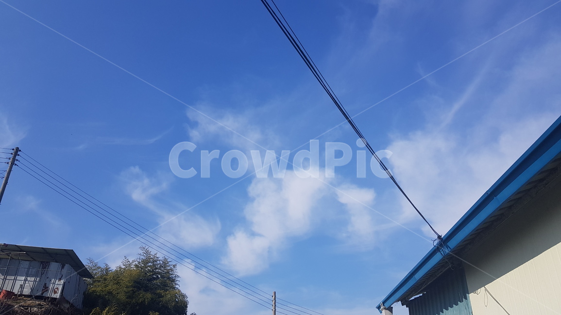 구름,하늘,파란하늘,하얀구름,sky,bluesky,cloud,얽힌구름,꼬리구름,특이한구름