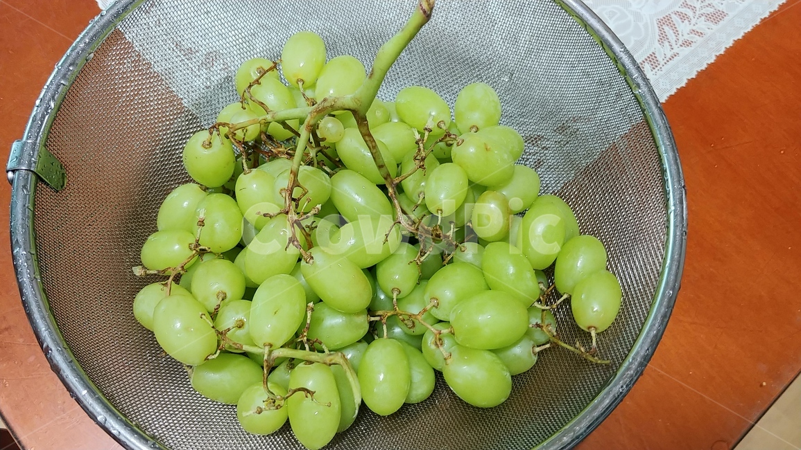 청포도,과일,신선한,초록색,greengrape,fruit,음식,식재료,요리,food,cook,meal,dishes,food reserves,과일,열매,fruit