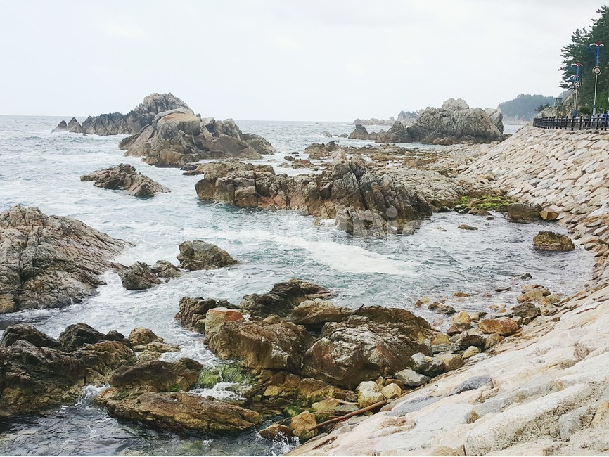 바다,바위,파도,바람,하늘,파란바다,풀,nature,stone,sea,파랂하늘,구름,sky,나무,자연,풍경,nature,landscape,promontory,곶