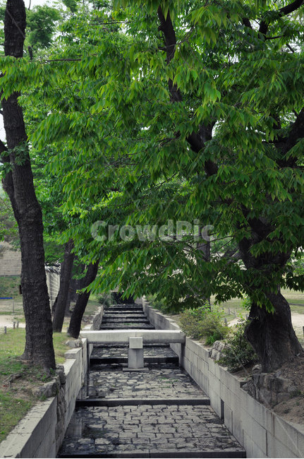 경복궁,궁,돌다리,풍경,조선시대,벽돌,나무,우거진,궁궐,자연,풍경,nature,landscape,outdoors,옥외,arbour,정자,garden,정원,plant,식물,tree