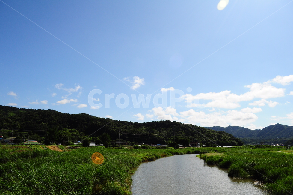 하천,강,하늘,구름,자연,시골,풀숲,자연,풍경,nature,landscape,ditch,도랑,outdoors,옥외