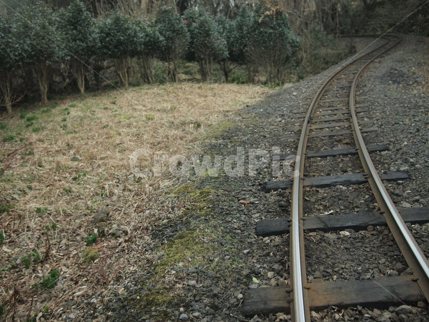 기차길,철길,철로,숲속,나무,꼬불꼬불,railroad,track,울퉁불퉁