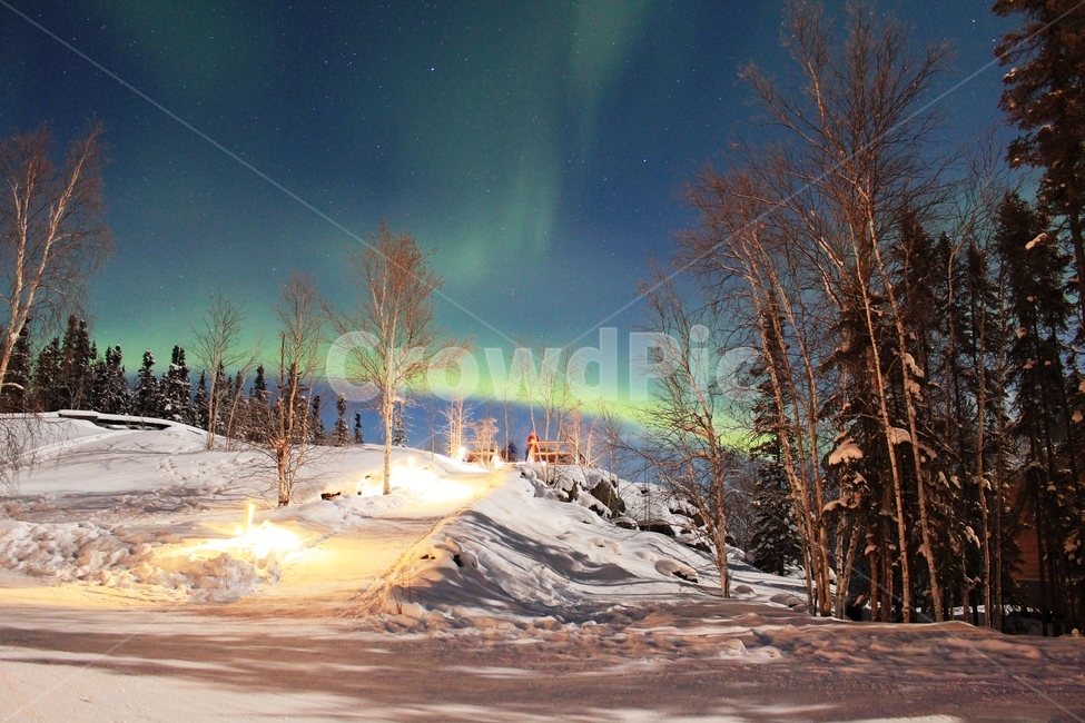 캐나다,오로라,옐로우나이프,aurora,yellowknife,오로라풍경,자연,풍경,nature,landscape,세계자연풍경,해외자연풍경,외국자연풍경,world nature landscape,outdoors,옥외,plant,식물,tree,나무